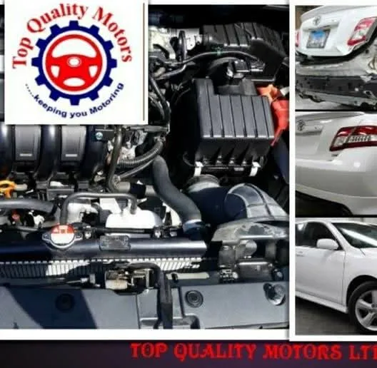 Top Quality Motors